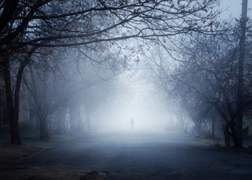 Horrible Road in Woods Halloween Party Scenic Photography Backdrops