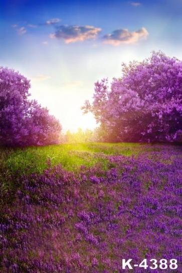 Beautiful Purple Flowers in Clusters Garden Backdrop Background