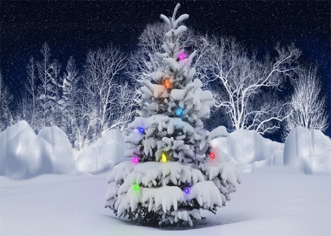 winter christmas tree scene