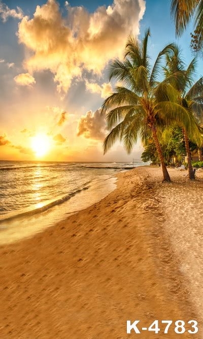 Sunset Scenery Palm Tree Beach Backdrop Scenic Photo Background