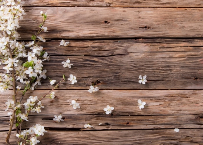 rustic flower background