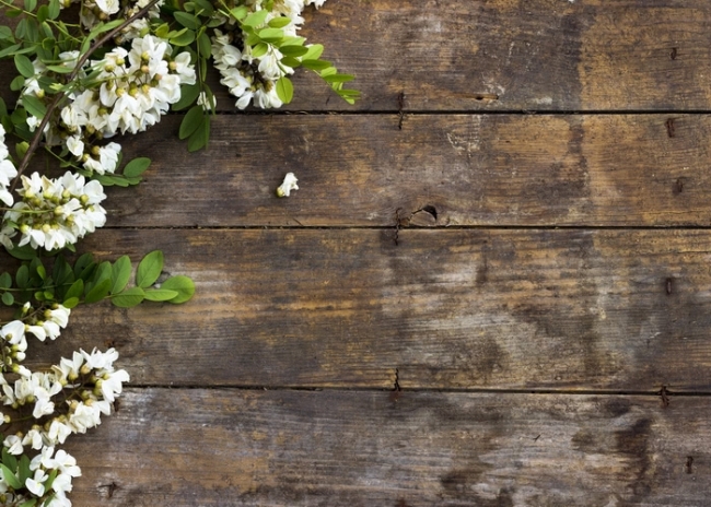 Floral Rustic Wood Background
