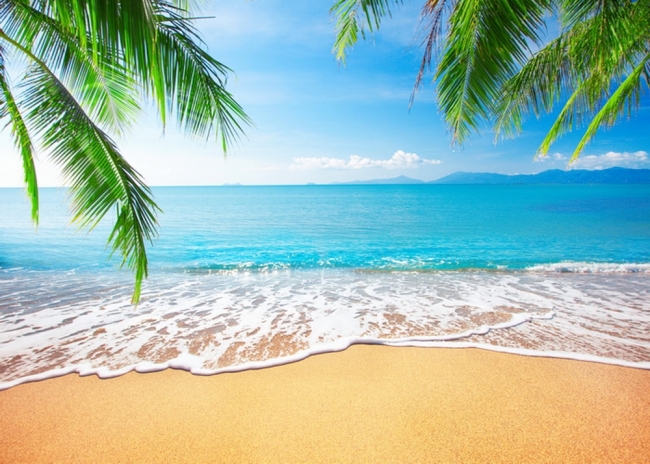 Blue Sky White Clouds Palm Trees Coconut Tree Beach Hawaiian Backdrop ...