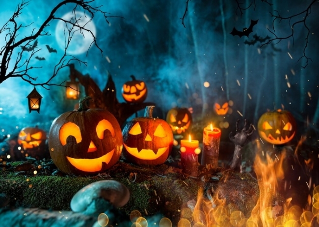 Pumpkin Party Theme Halloween Backdrop Decoration Prop Photography ...