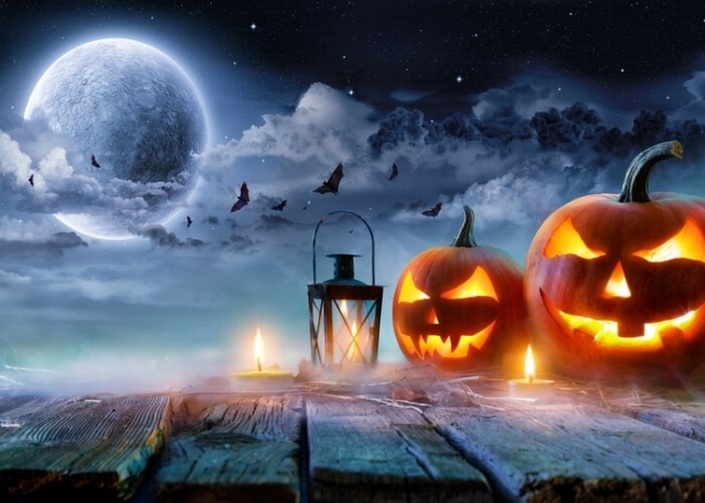 Moon Bat Pumpkin Theme Halloween Party Backdrop Stage Photography ...
