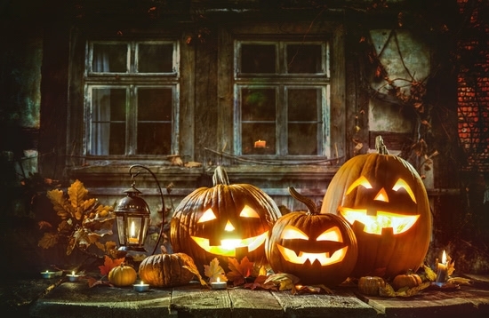 Wooden Floor Window Pumpkin Themed Halloween Photo Party Backdrops