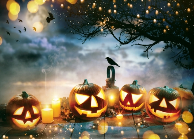 Pumpkin Theme Cute Halloween Party Backdrop Photography Background